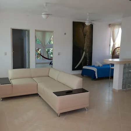 Orange Condo